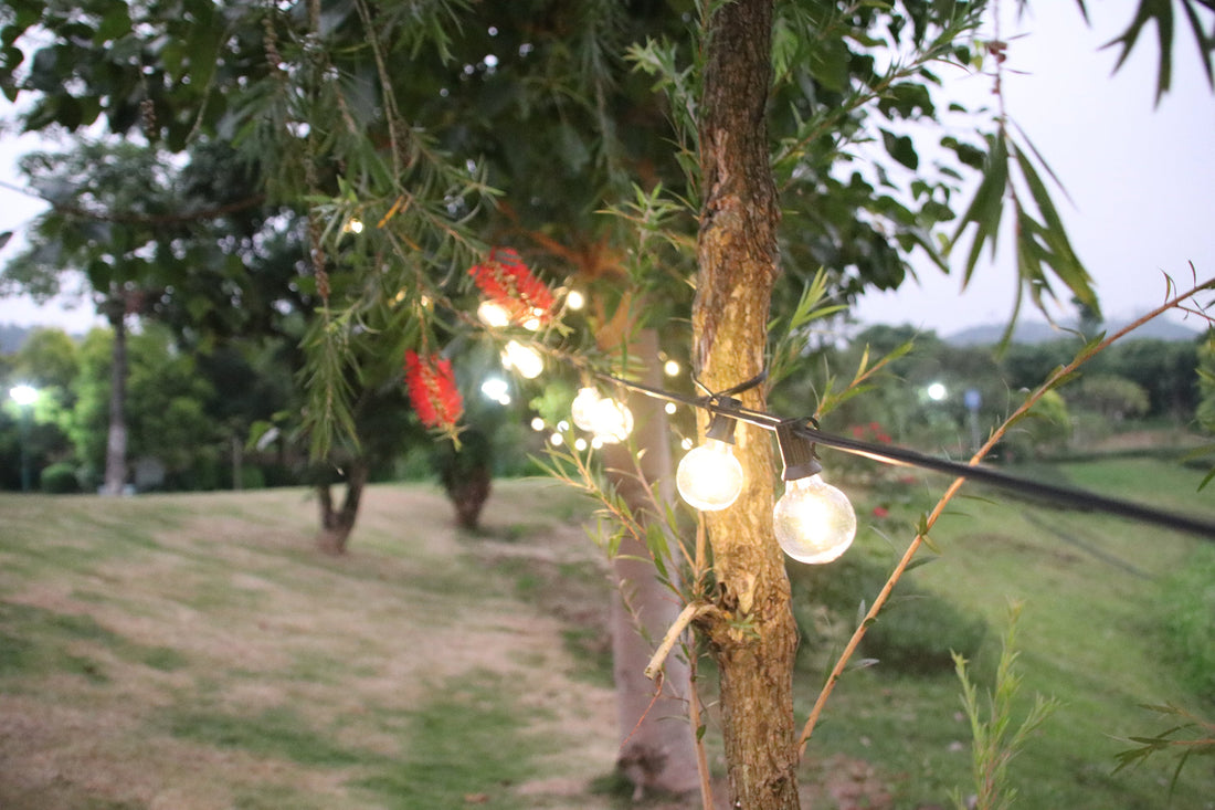 Outdoor extension cords rain safety shown with string lights wrapped around a tree in a garden at dusk