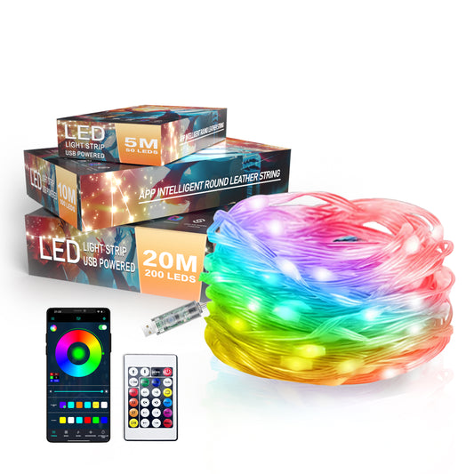 APP Controller With Remote Smart LED String Lights