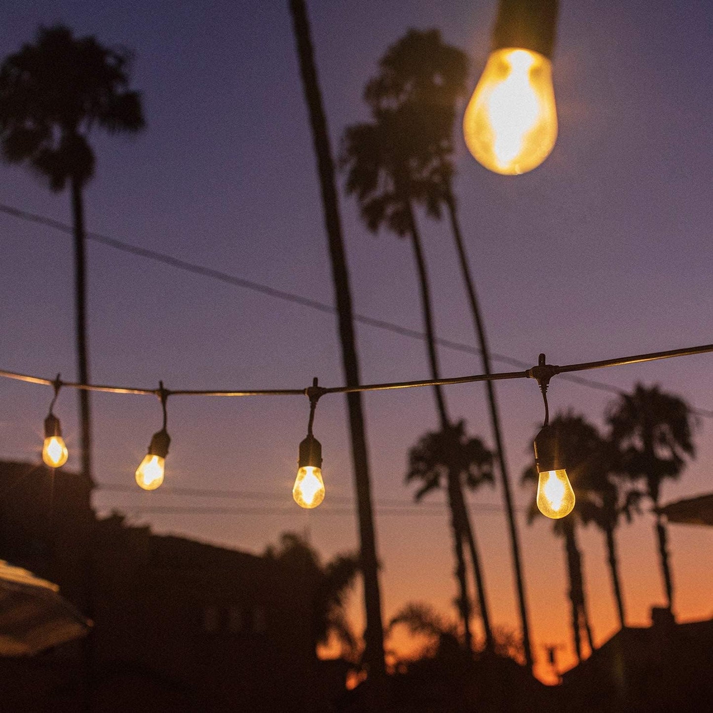 Copper wire string lights glowing at dusk with palm trees in the background for outdoor decoration