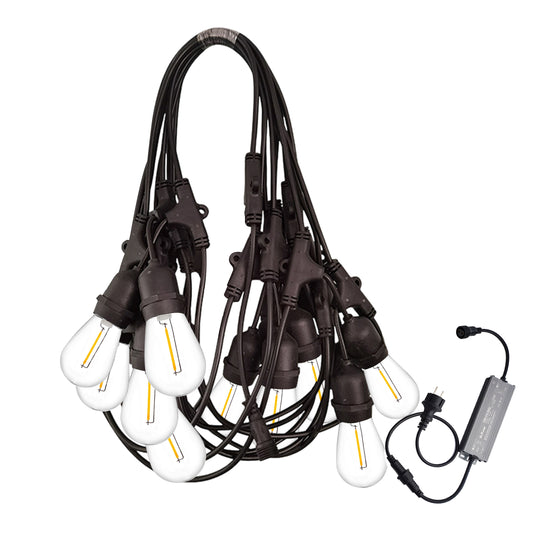 Ningbo Fuaisi garden lights outdoor string with LED bulbs and black wiring for outdoor decoration