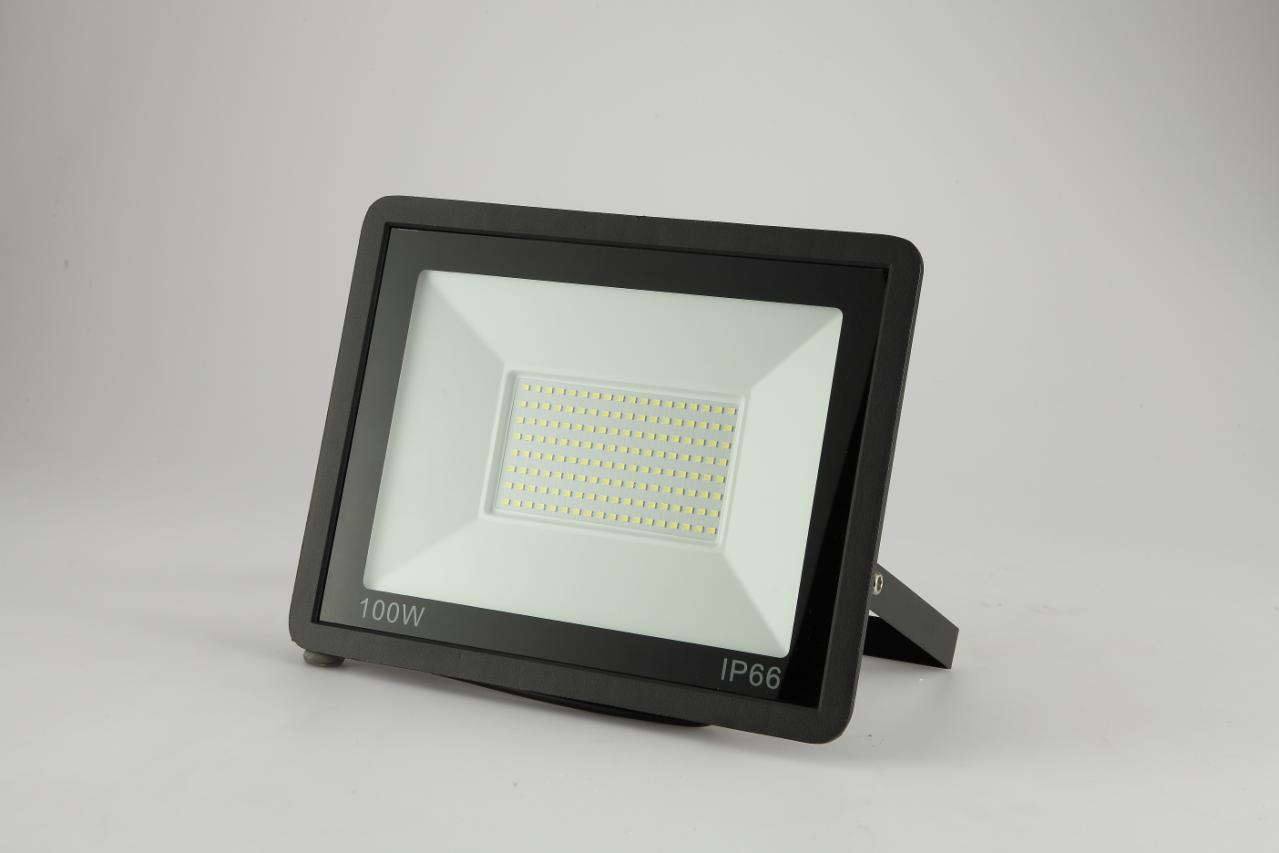 Ningbo Foroureyes 100W LED Floodlight with IP66 rating for durable outdoor lighting