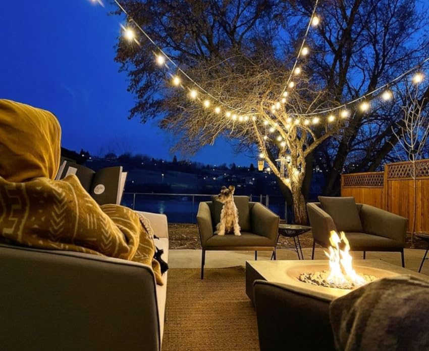 outdoor garden string lights