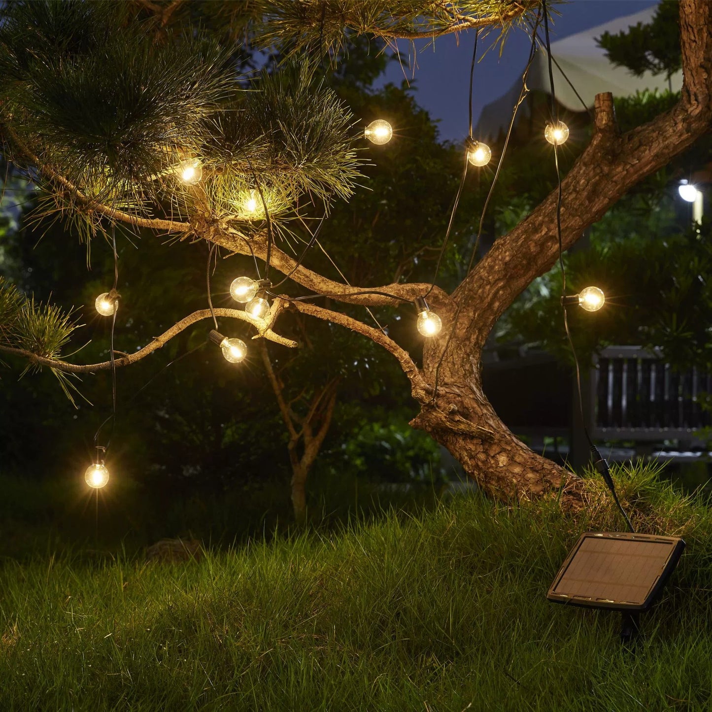 Solar led outdoor lighting string hanging from tree branches illuminating garden at night