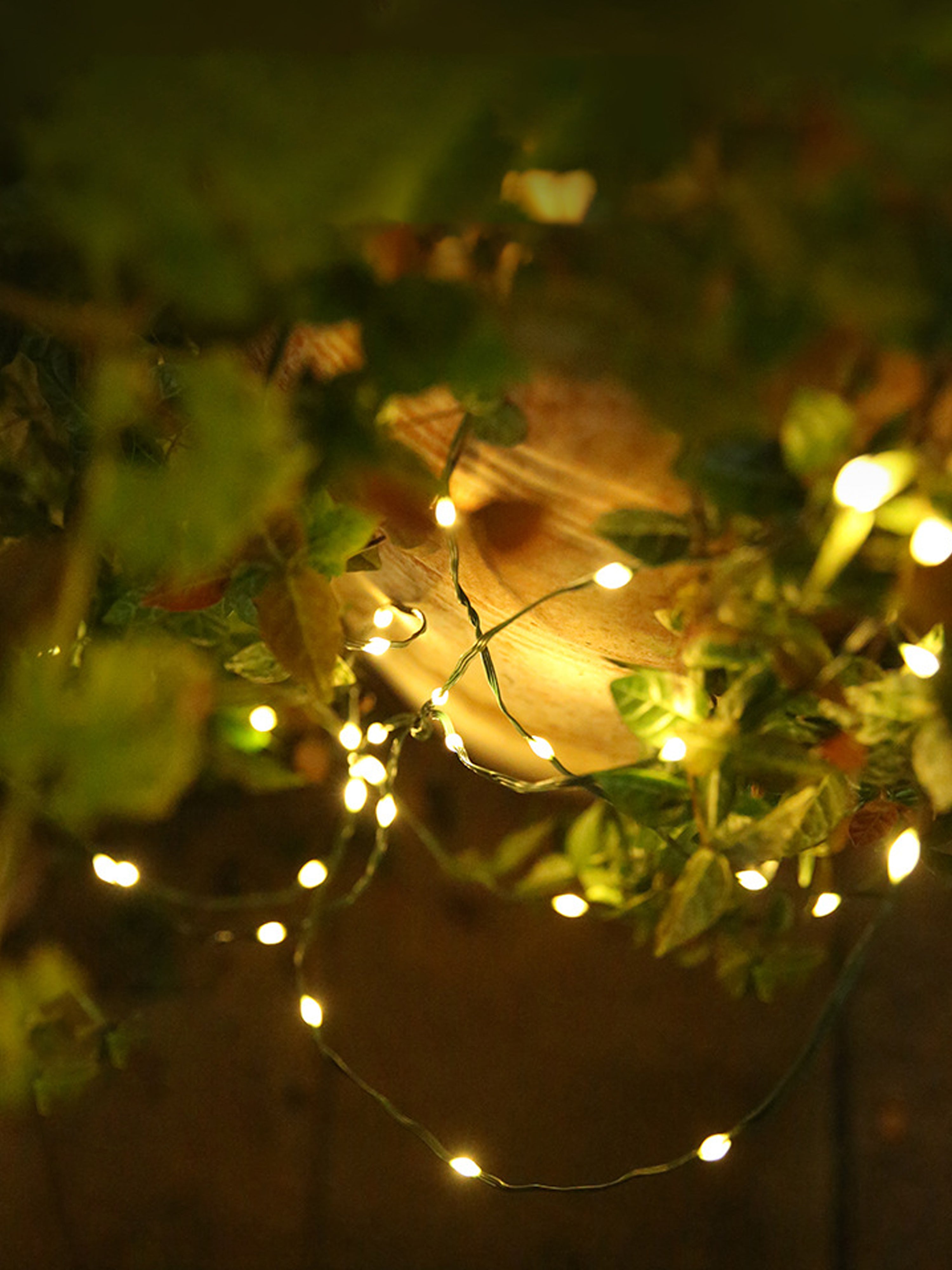 string of christmas lights