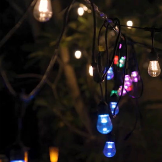 Close-up of colorful outdoor string lights hanging in a garden showing how to hang outdoor string lights
