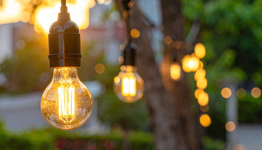 Warm glowing outdoor string lights Australia hanging on trees in a cozy garden setting during sunset