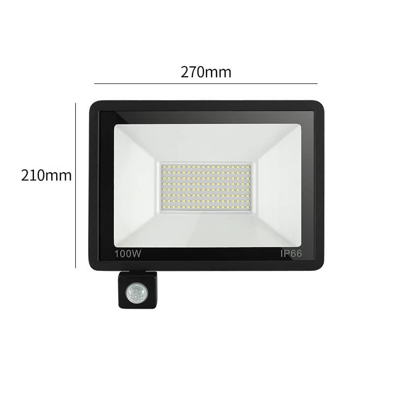 Outdoor LED Flood Light with Remote Control & Motion Sensor IP65 10W–100W 220V
