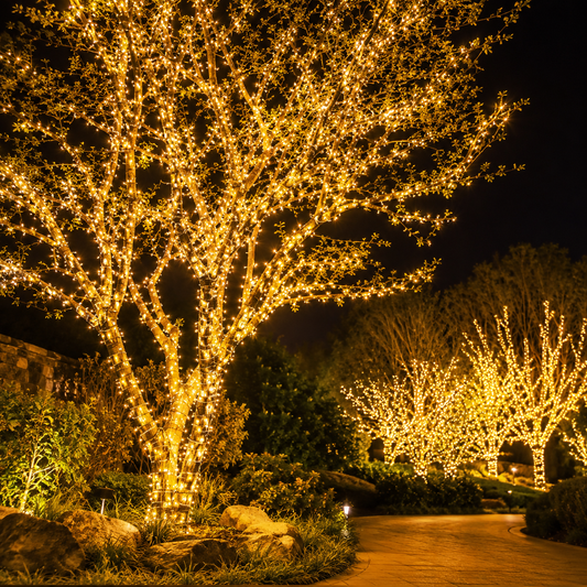 Foroureyes 24V-31V 100m-10m Outdoor Led Christmas Lights
