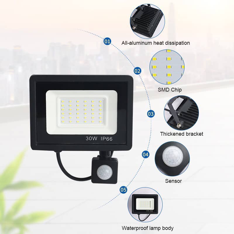 Outdoor LED Flood Light with Remote Control & Motion Sensor IP65 10W–100W 220V
