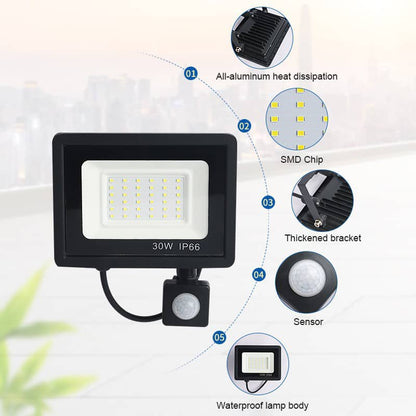 Outdoor LED Flood Light with Remote Control & Motion Sensor IP65 10W–100W 220V