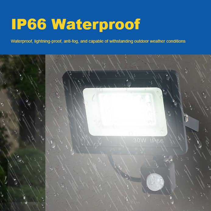 Outdoor LED Flood Light with Remote Control & Motion Sensor IP65 10W–100W 220V