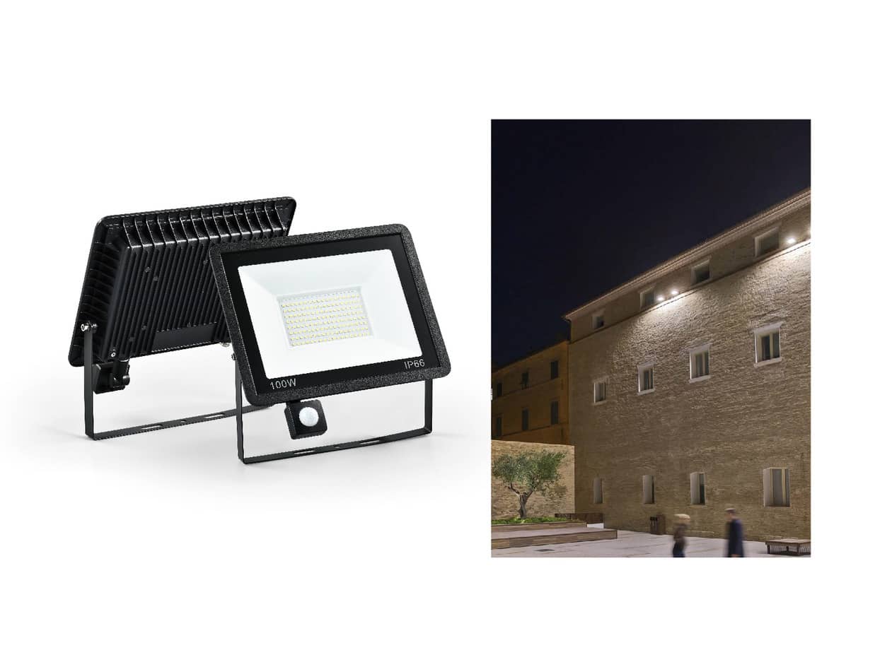 Outdoor LED Flood Light with Remote Control & Motion Sensor IP65 10W–100W 220V