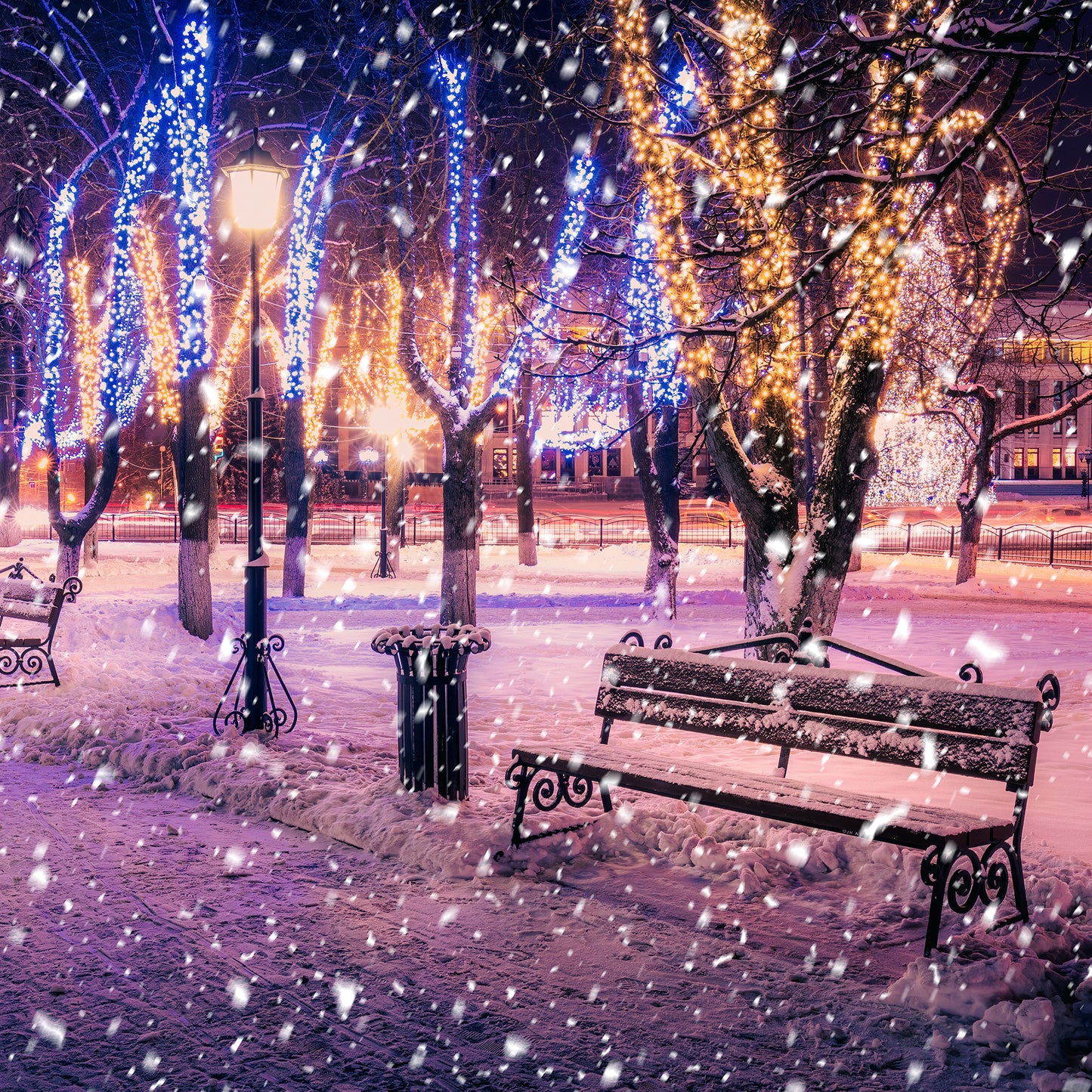 Festoon String Lights illuminating trees in a snowy park during the winter evening