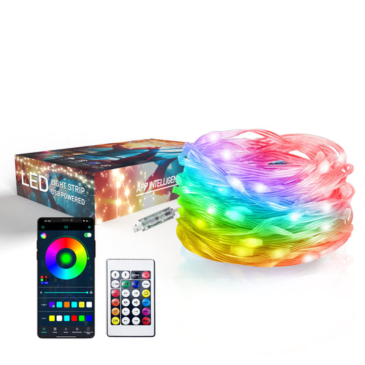 Colorful LED String Lights with remote control and app compatibility for outdoor decoration